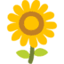 :sunflower: